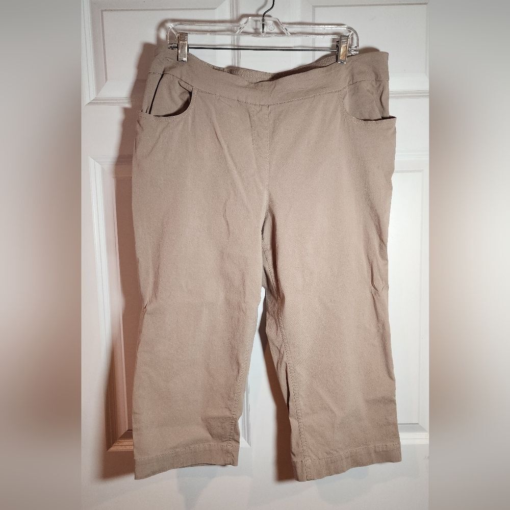 Slim-Sation Tan Stretch Cropped Pants Tummy Control Size 18